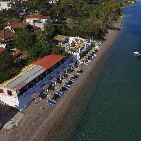 Taradella Hotel Αλισσός Εξωτερικό φωτογραφία