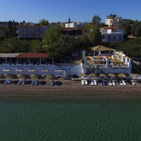 Taradella Hotel Αλισσός Εξωτερικό φωτογραφία