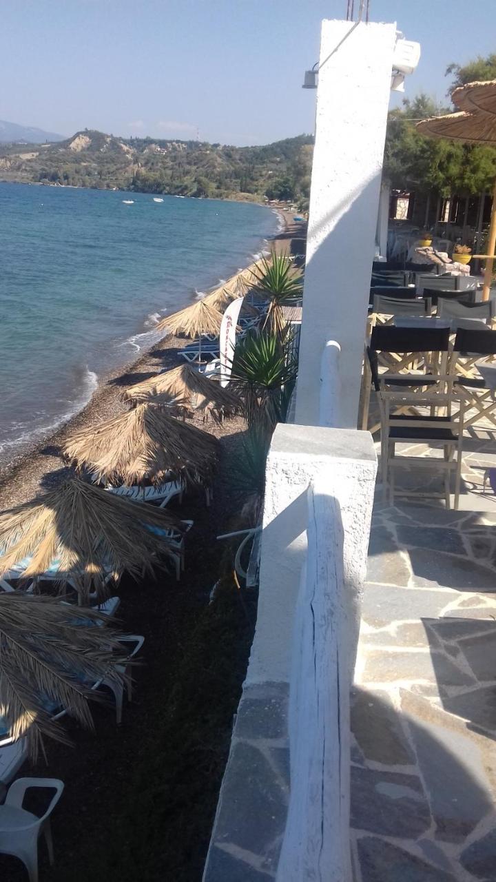 Taradella Hotel Αλισσός Εξωτερικό φωτογραφία